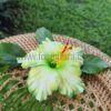 FHIB61DC : HIBISCUS61DC ( 11 CM ) - Image 2