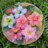 FHIB61DC : HIBISCUS61DC ( 11 CM ) - Image 3