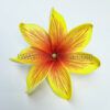 FTIA49OI : TIARE49OI ( 10.5CM )