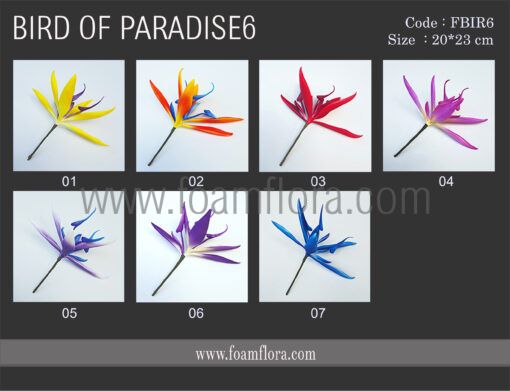 FBIR6 : BIRD OF PARADISE6 (20*23CM) - Image 5