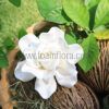 FGAR28: GARDENIA28 ( 9.5CM ) - Image 3