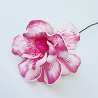FGAR31: GARDENIA31 (7CM)