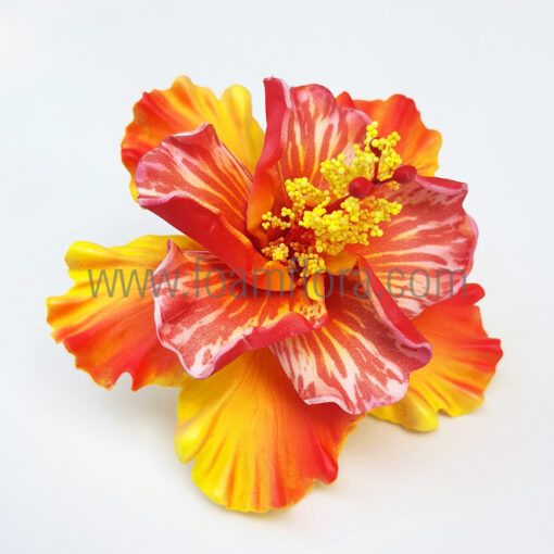 FHIB64CU : HIBISCUS64CU (10.5CM)