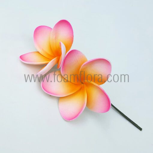 S2-FPLU138 : PLUMERIA138 DOU (7*16CM)