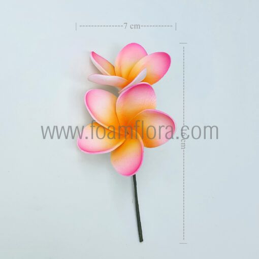 S2-FPLU138 : PLUMERIA138 DOU (7*16CM) - Image 2