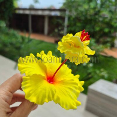 FHIB69 : HIBISCUS69 (9CM)