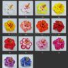 FHIB68 : HIBISCUS68 (12CM) - Image 2