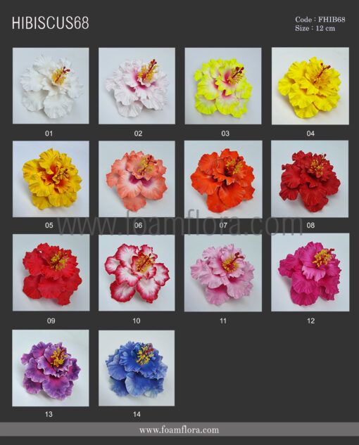 FHIB68 : HIBISCUS68 (12CM) - Image 2