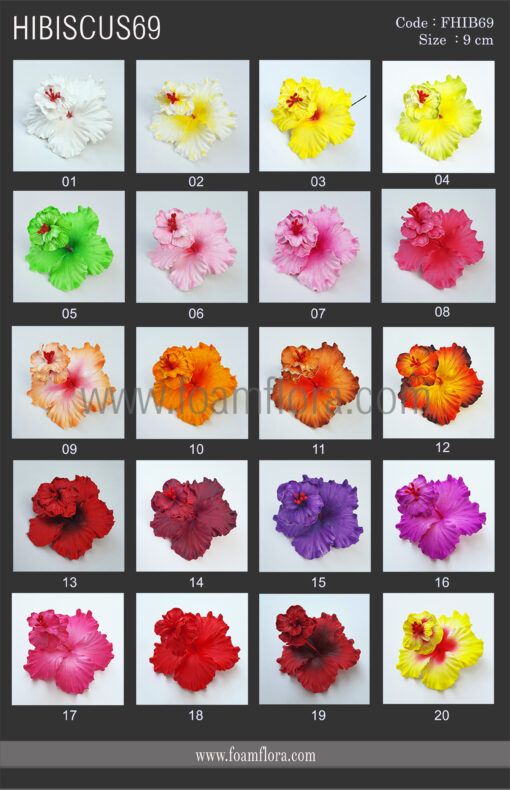 FHIB69 : HIBISCUS69 (9CM) - Image 5