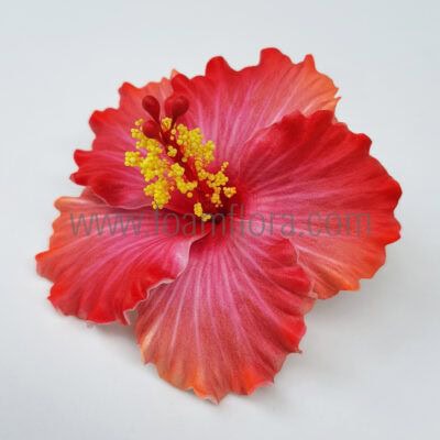 FHIB41MX : HIBISCUS41MX (9CM)
