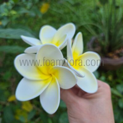 S3-FPLU138 : PLUMERIA138 TRIPLE (11*11 CM)