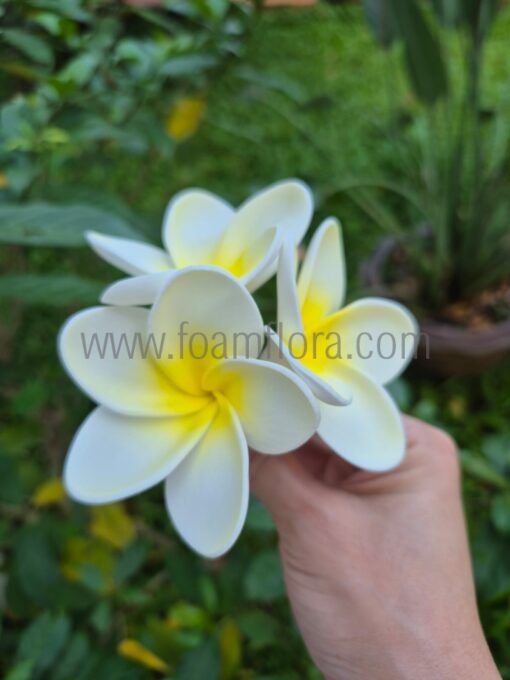 S3-FPLU138 : PLUMERIA138 TRIPLE (11*11 CM)