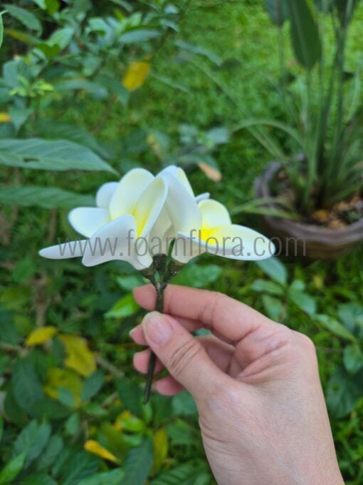S3-FPLU138 : PLUMERIA138 TRIPLE (11*11 CM) - Image 2