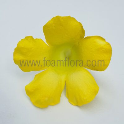 FDRO1 : DESERT ROSE1 (7CM)
