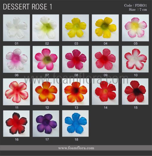 FDRO1 : DESERT ROSE1 (7CM) - Image 3