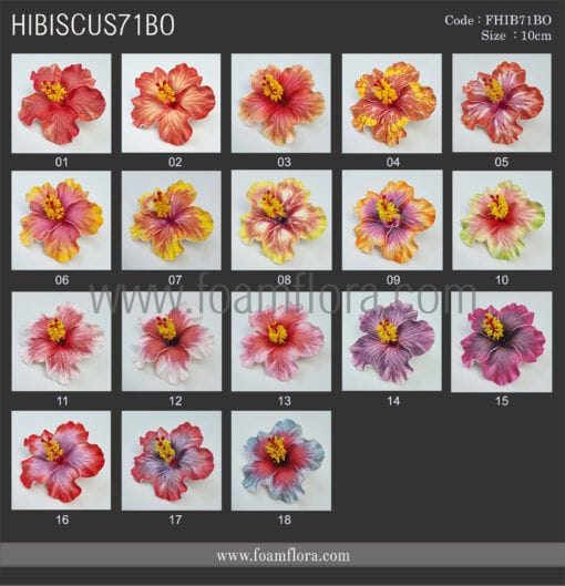 FHIB71BO : HIBISCUS71BO(10CM) - Image 2