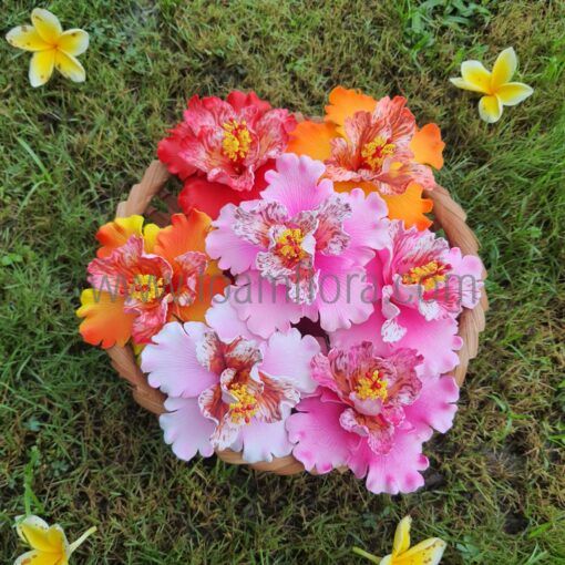FHIB37CU : HIBISCUS37CU (11CM) - Image 2