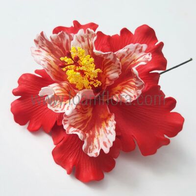 FHIB37CU : HIBISCUS37CU (11CM)