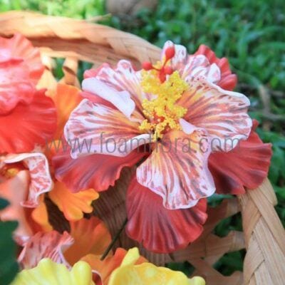 FHIB64CU : HIBISCUS64CU (10.5CM)