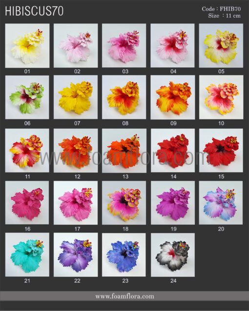 FHIB70 : HIBISCUS70 (11CM) - Image 3