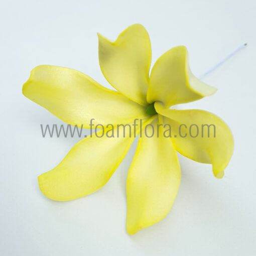 FTIA76 : TIARE76 (7CM)