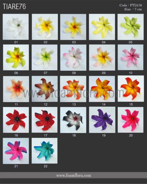 FTIA76 : TIARE76 (7CM) - Image 4