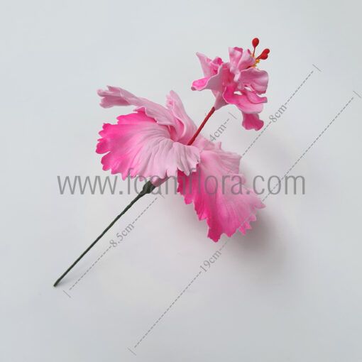 FHIB70 : HIBISCUS70 (11CM) - Image 2
