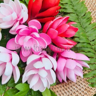 FGIN1 : GINGER1 (7CM)