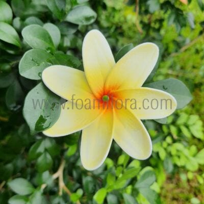 NEW ARRIVALS 13 FTIA77 : TIARE77 (8CM)