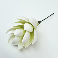 OTHERS 4 FGIN1 : GINGER1 (7CM)