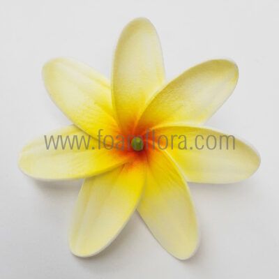 FTIA77 : TIARE77 (8CM)