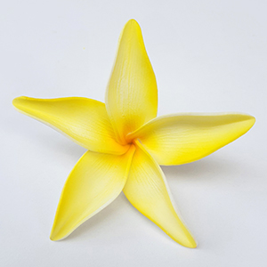 FPLU144 : PLUMERIA144 (9.5CM)