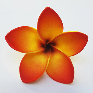 FPLU63 : PLUMERIA63 (7.5CM)