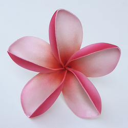 FPLU120MI : PLUMERIA120MI(10CM)