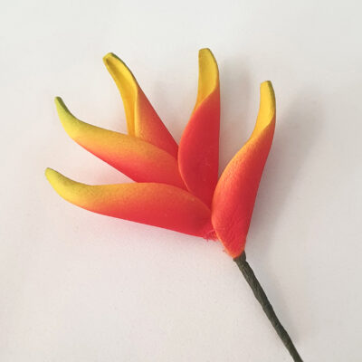 FHEL9 : HELICONIA9 (5*5.5CM)