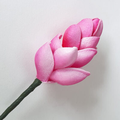 FGIN3 : GINGER3 (3*4.5CM)