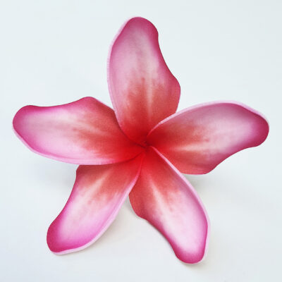 PLUMERIA 63 FPLU19TC : PLUMERIA19TC (9CM)