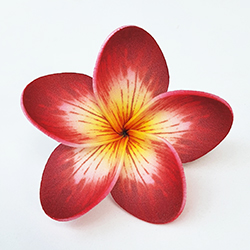 FPLU138LU : PLUMERIA138LU(6.5CM)