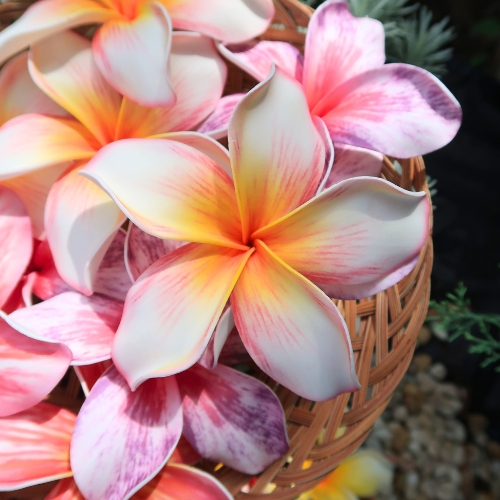 Large light-yellow handmade plumeria hair pick