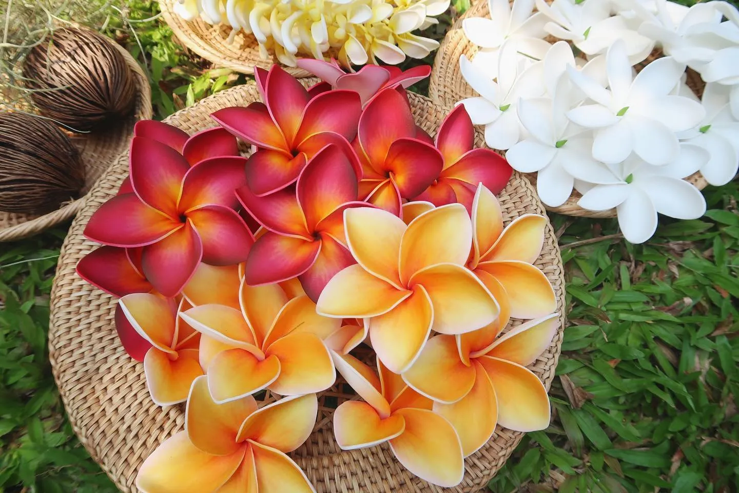 A basket of handmade plumeria and tiare hula flowers in red, orange, yellow and white