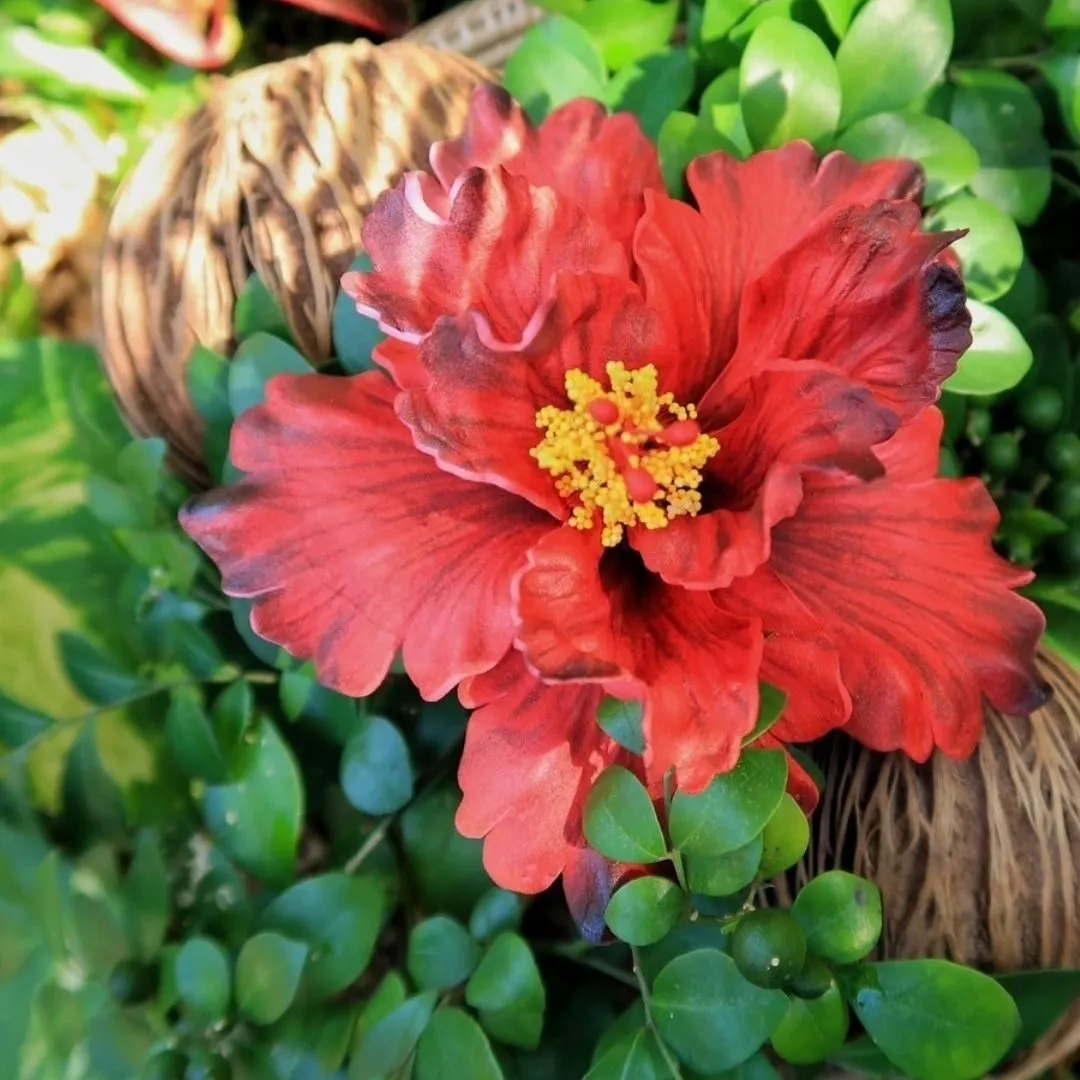 Handmade deep-red hibiscus flower