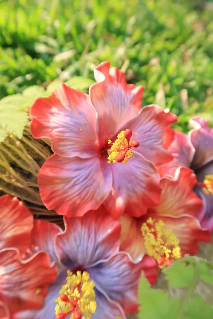 Handmade ruffled hibiscus in coral and lavender, a new original Foamflora design