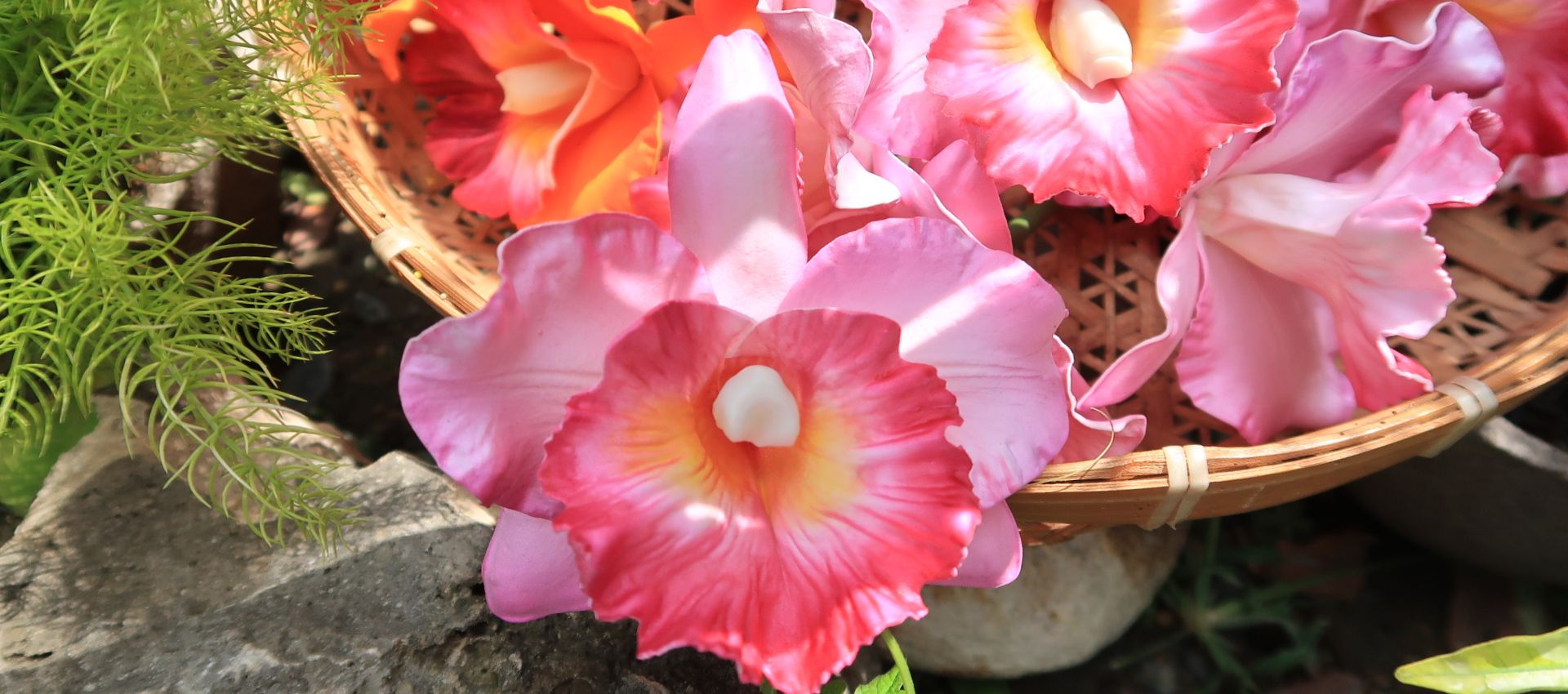 ORCHID 1 Handmade pink cattleya orchid flowers in a woven basket