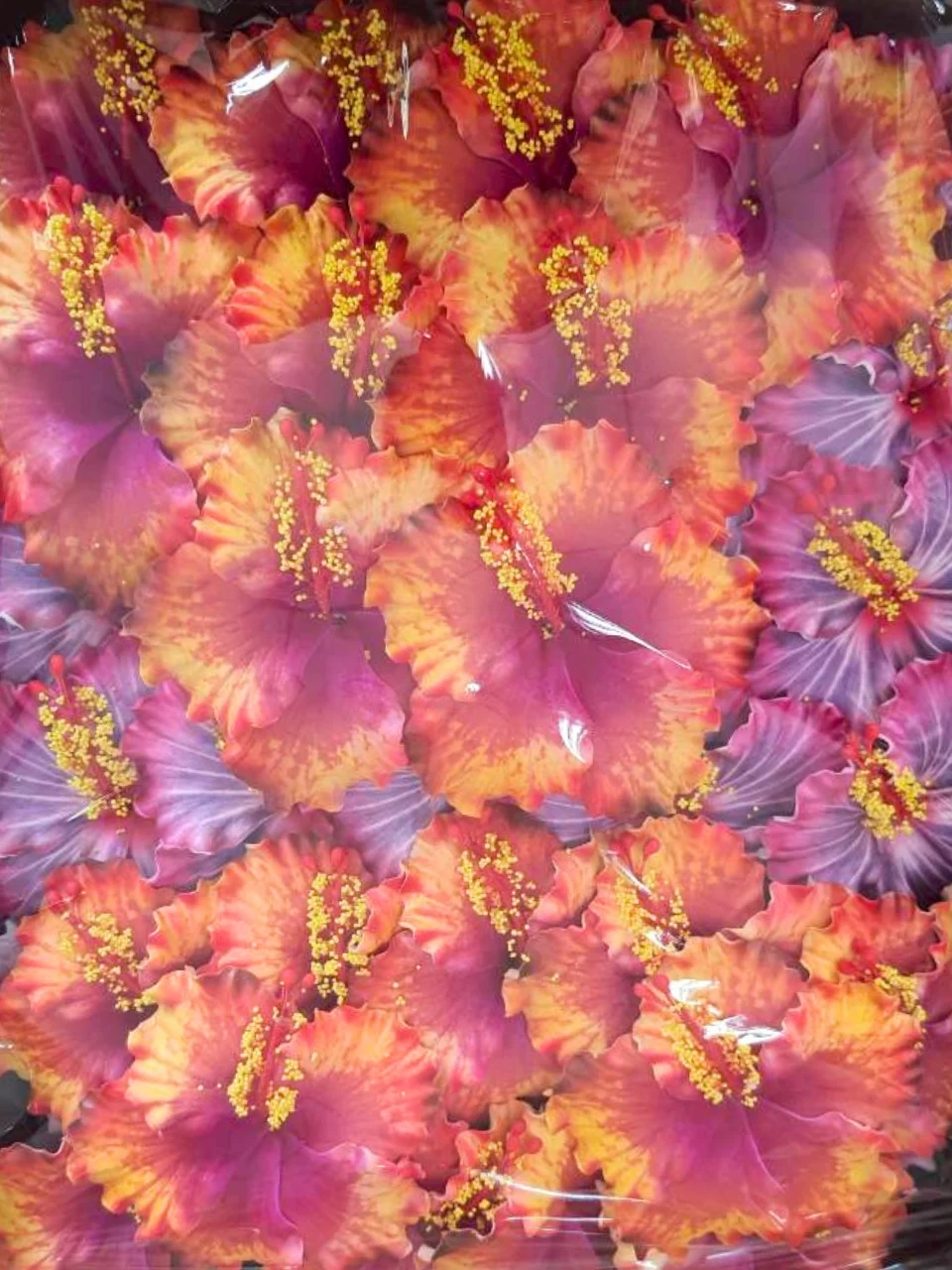 Hula flower order shipped to the Solomon Islands