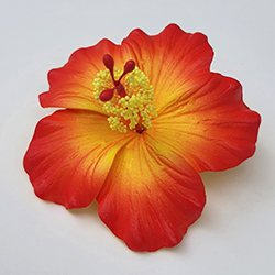 HIBISCUS 81 FHIB75 : HIBISCUS75 (8.5CM)