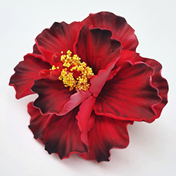 FHIB76SI : HIBISCUS76SI (8CM)