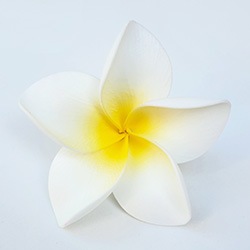 FPLU147 : PLUMERIA147 (7.5CM)