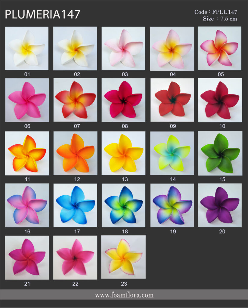 FPLU147 CHART เพิ่มสี