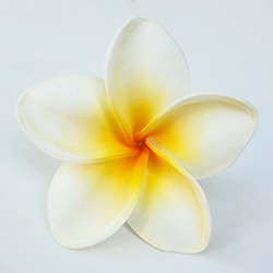 FPLU148 : PLUMERIA148 (7CM)