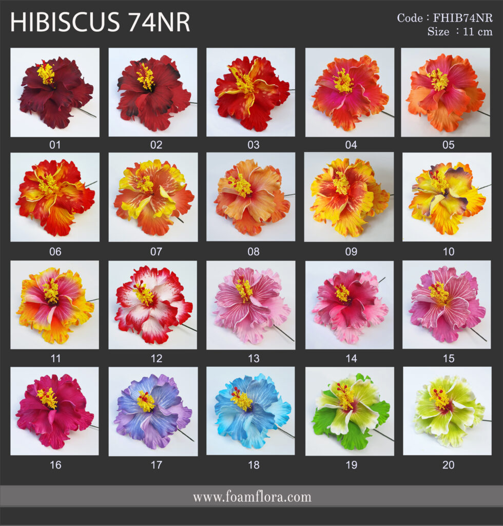 FHIB74NR CHART